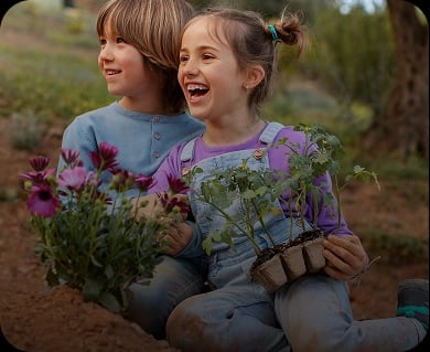 Top tips to create your own allotment