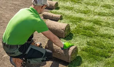 Artificial Grass Installation