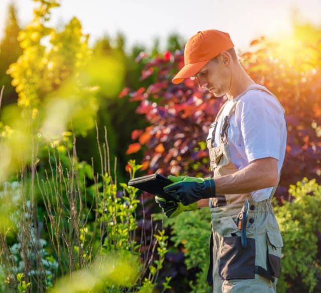 Professional using phone