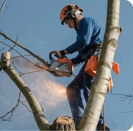 Professional using phone