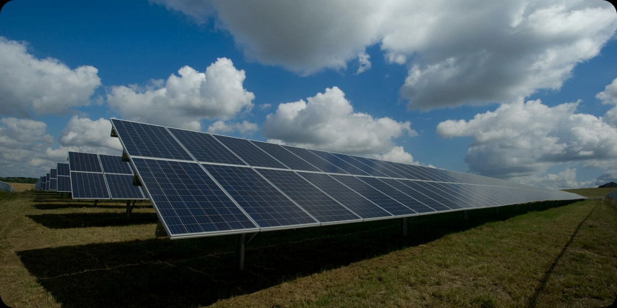 ECO4 Axe Will Trigger a Wave of Business Collapse and Job Carnage, Expert Warns