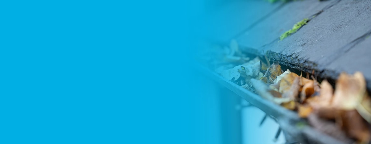 Close-up of dry autumn leaves piled in a house gutter and slate roof tiles.