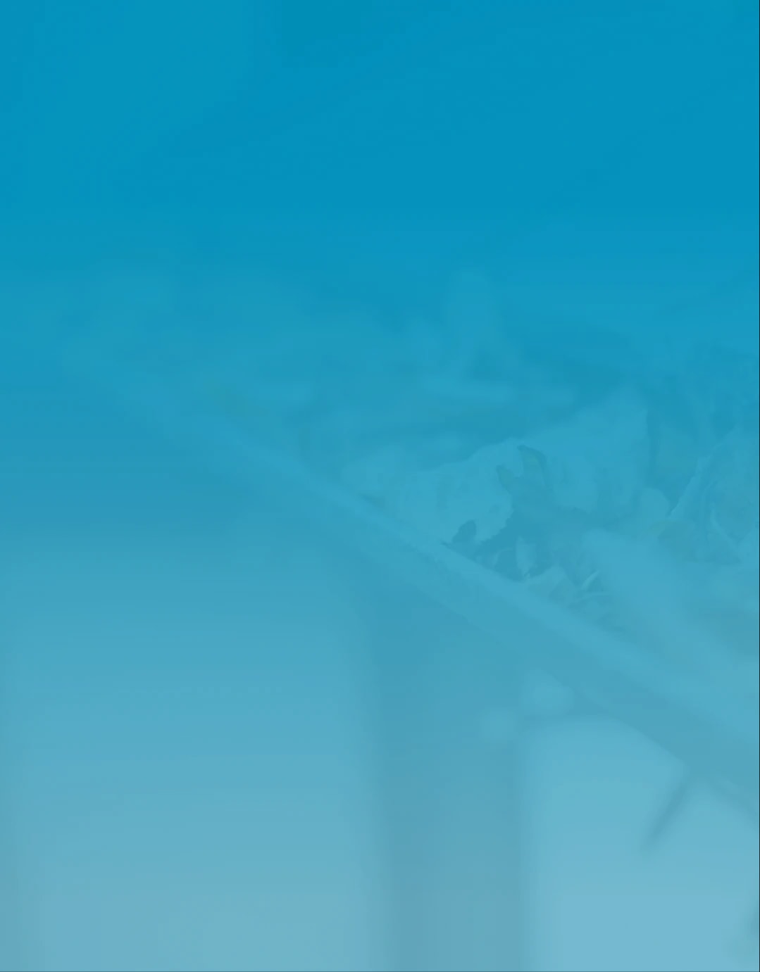 Close-up of dry autumn leaves piled in a house gutter and slate roof tiles.