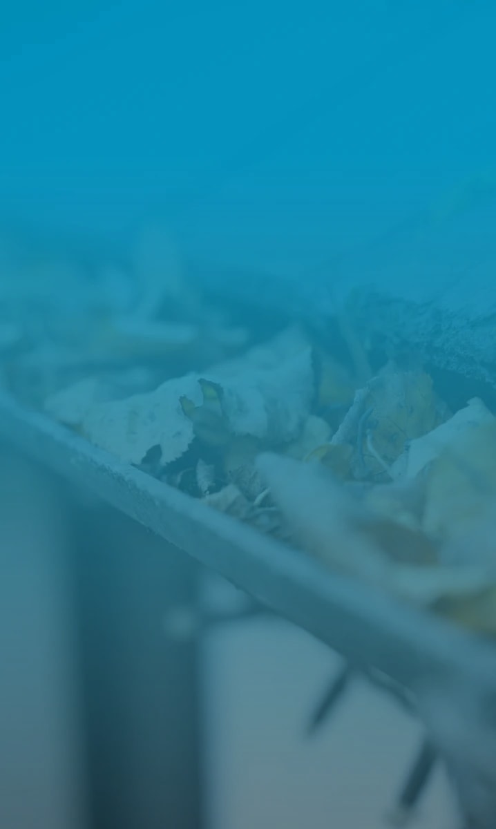Close-up of dry autumn leaves piled in a house gutter and slate roof tiles.