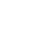 Step Icon