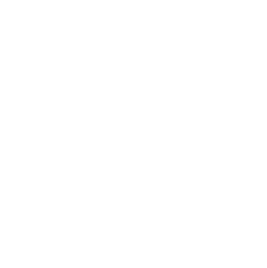 Step Icon